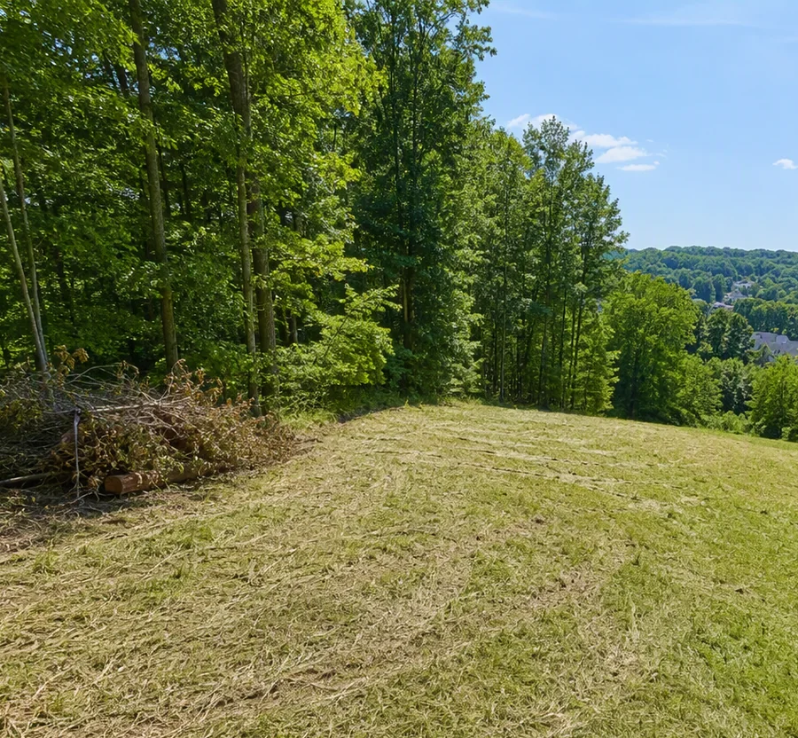 Lot clearing and brush removal near Williamsport