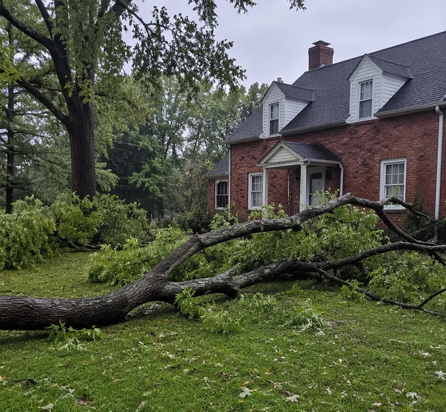 Storm damage tree cleanup after north-central Pennsylvania wind